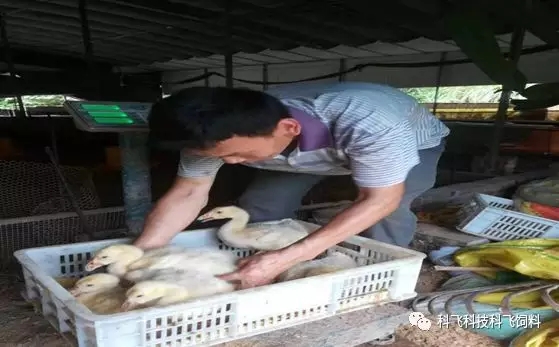 640.webp (2).jpg 640.webp (2).jpg