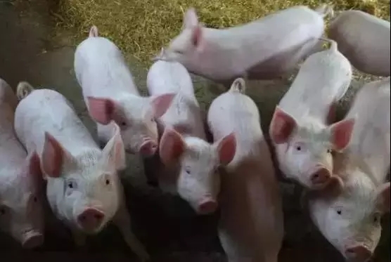 640.webp (10).jpg 640.webp (10).jpg