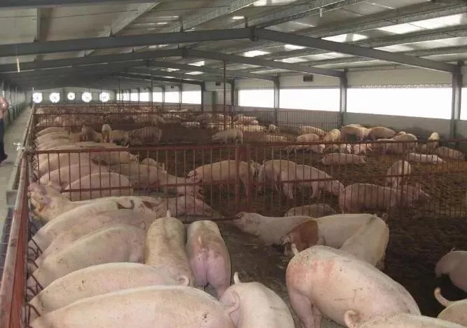 640.webp (8).jpg 640.webp (8).jpg