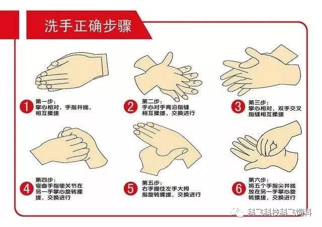 640_wx_fmt=jpeg&tp=webp&wxfrom=5&wx_lazy=1&wx_co=1.webp (8).jpg 640_wx_fmt=jpeg&tp=webp&wxfrom=5&wx_lazy=1&wx_co=1.webp (8).jpg