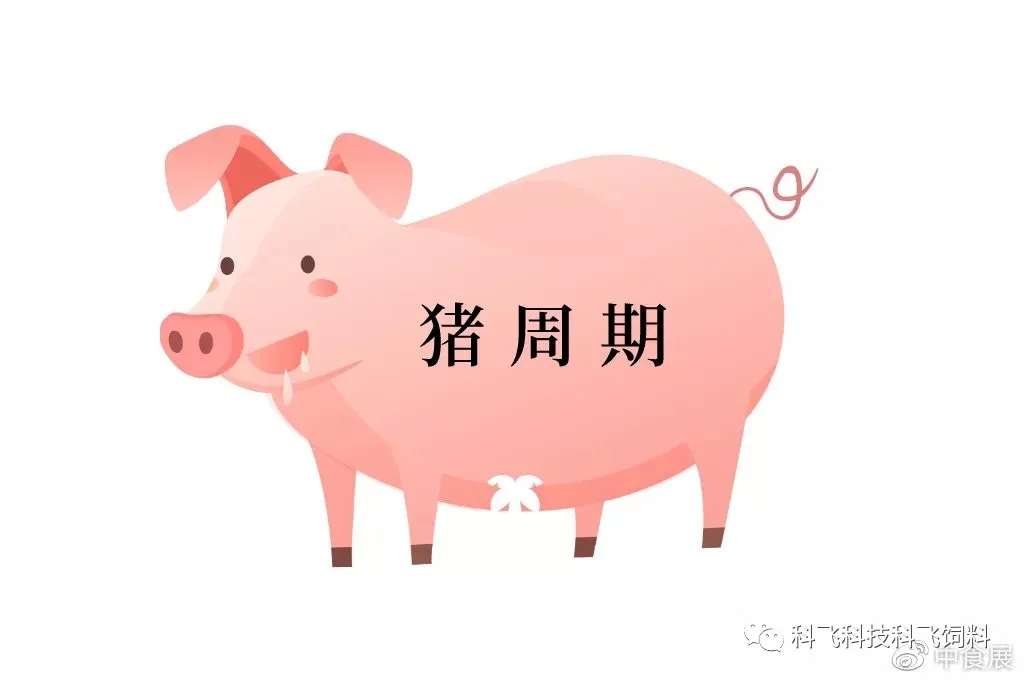 640_wx_fmt=jpeg&tp=webp&wxfrom=5&wx_lazy=1&wx_co=1.webp (3).jpg 640_wx_fmt=jpeg&tp=webp&wxfrom=5&wx_lazy=1&wx_co=1.webp (3).jpg