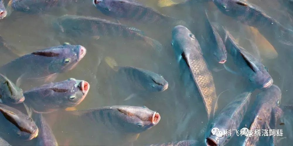 圖片2.png 圖片2.png