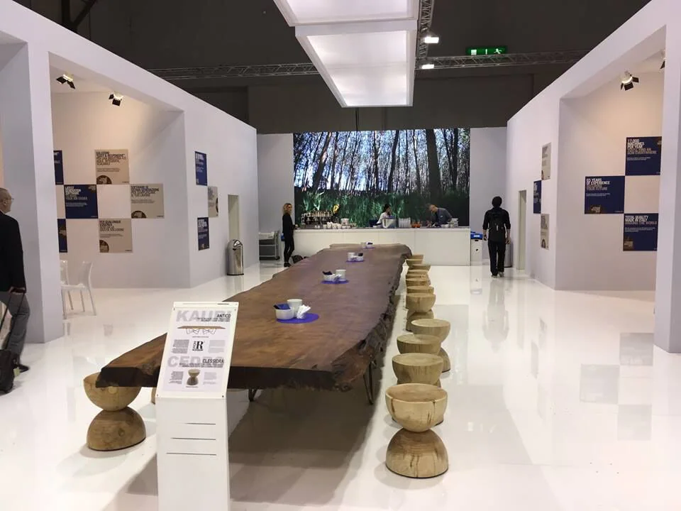 Nowości na targach Xylexpo