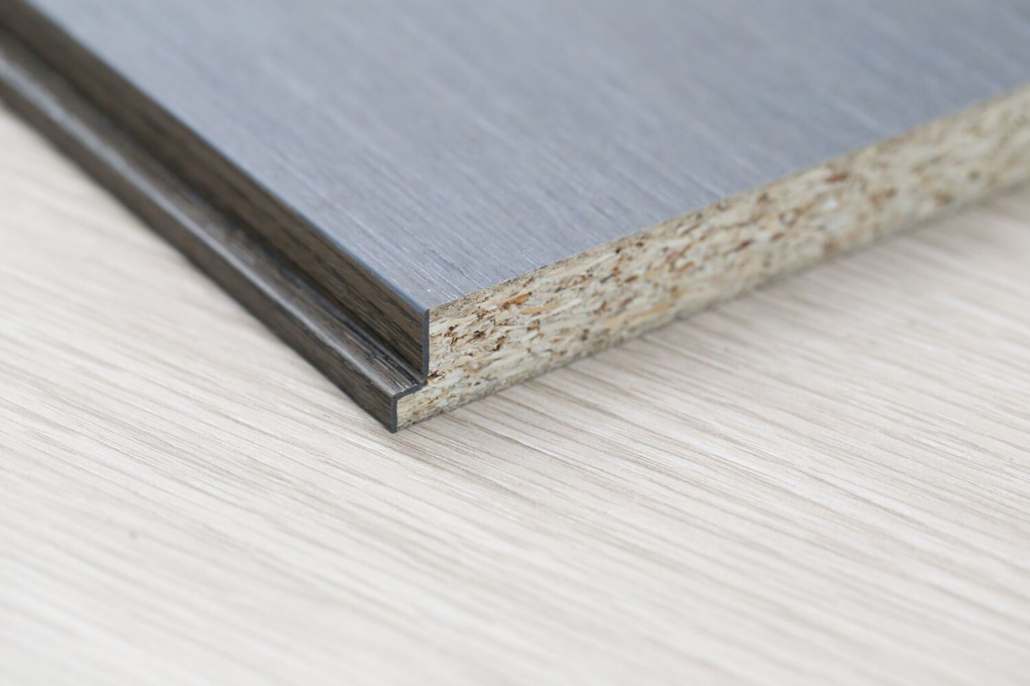 Pierwsze miejsce na Xylexpo dla Stefani