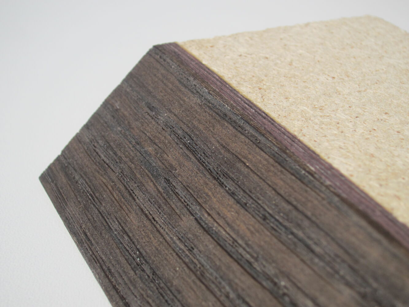 Pierwsze miejsce na Xylexpo dla Stefani