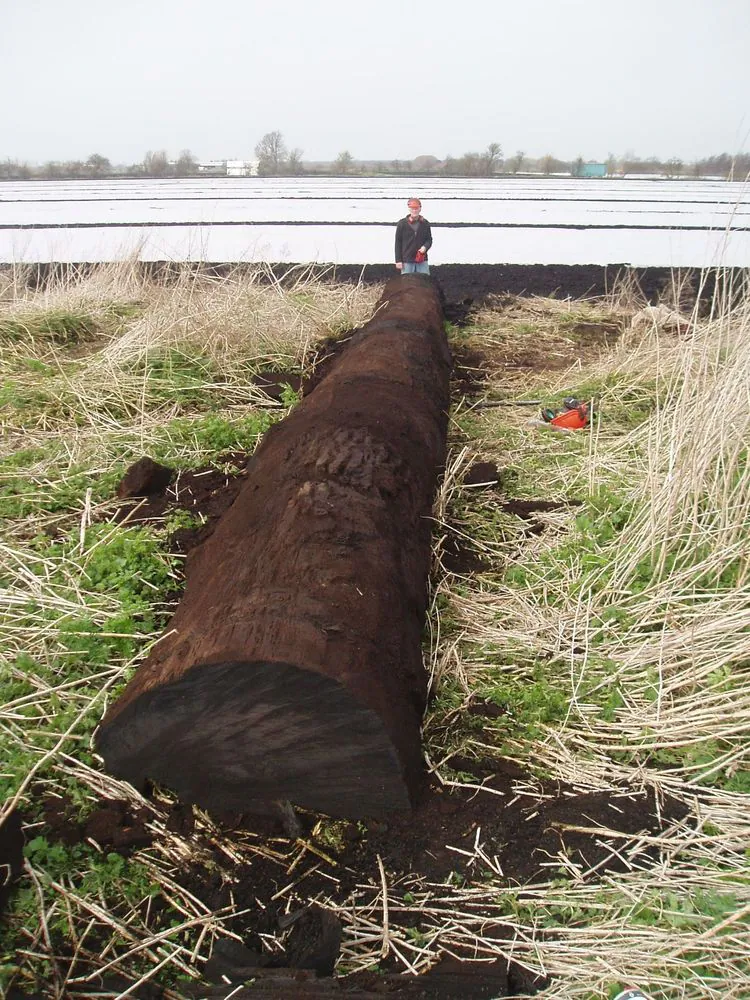 SCM partner tecnologico del progetto “Fenland Black Oak Table” 