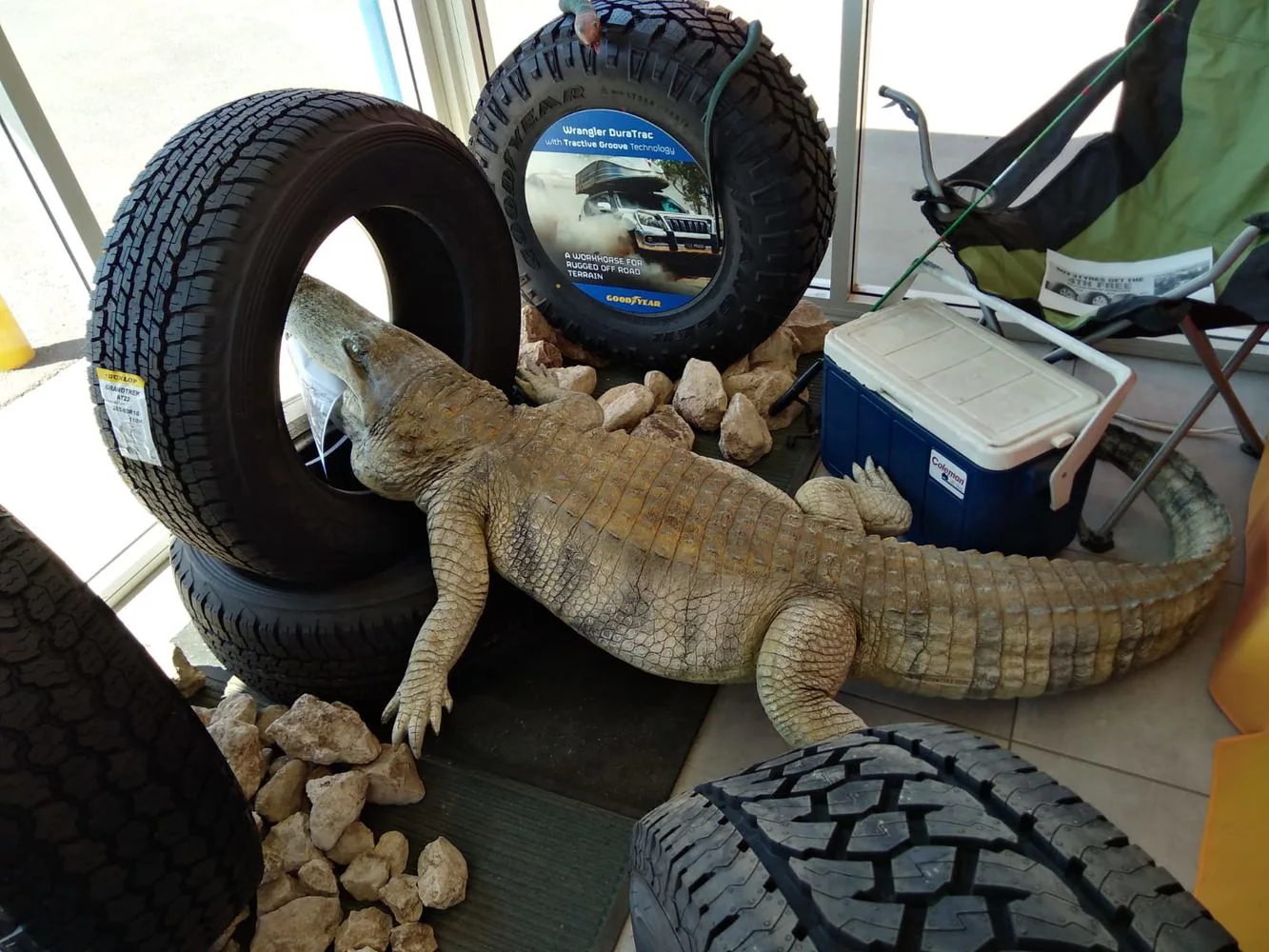 世界太阳能汽车挑战赛：太阳能汽车Emilia 4 LT 在澳大利亚发出新的挑战